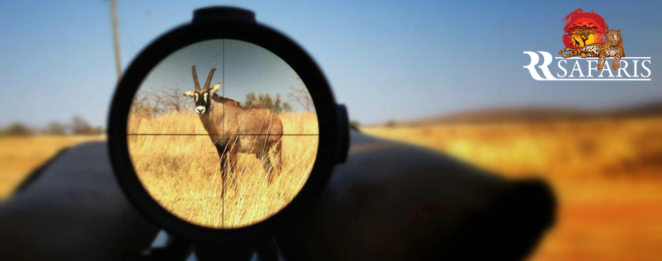 Sea with a very beautiful view to the sea and Sunny Beach Resort.